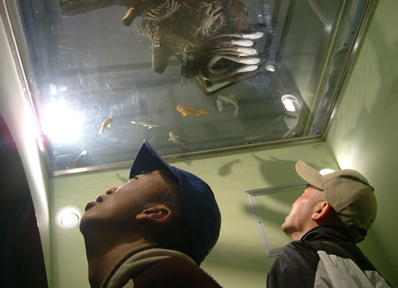 散策（姫路水族館）