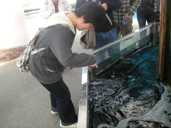 須磨水族館