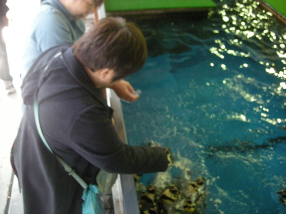 須磨水族館