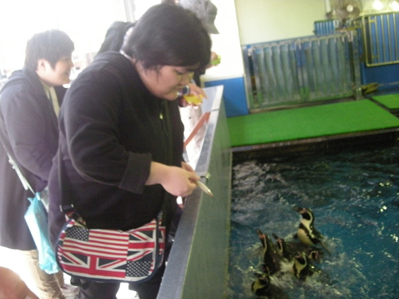 須磨水族館